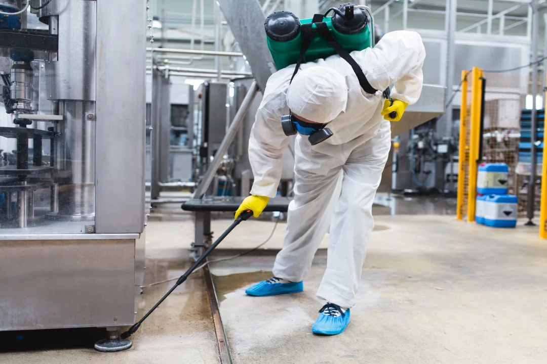 Pest Inspection Adelaide Pest Inspection Adelaide