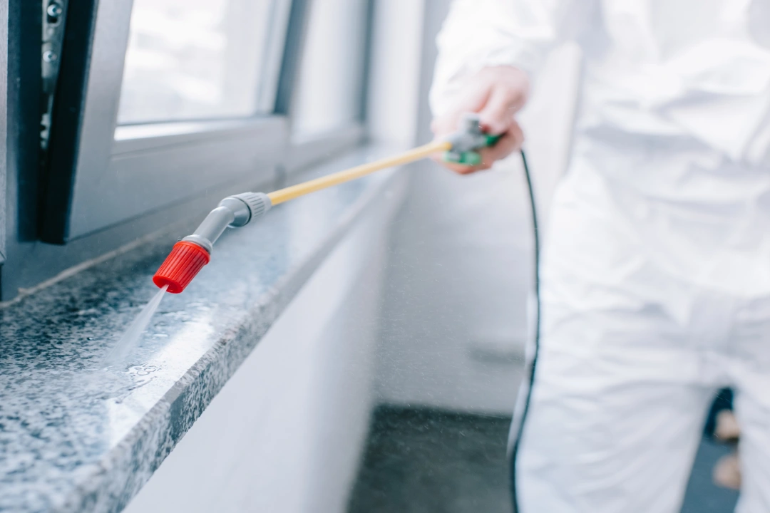 Pest Inspection Adelaide Pest Inspection Adelaide