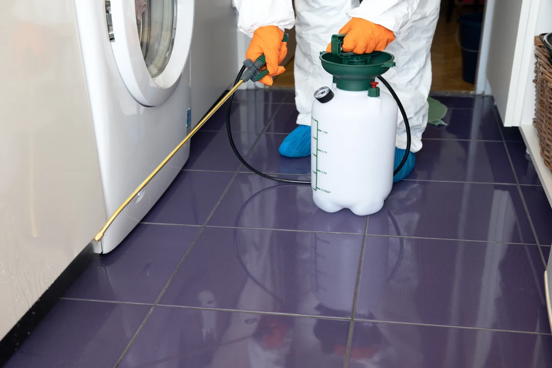 Pre-Purchase Pest Inspection Adelaide Pre-Purchase Pest Inspection Adelaide