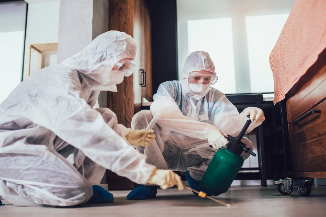 Pre-Purchase Pest Inspection Adelaide Pre-Purchase Pest Inspection Adelaide