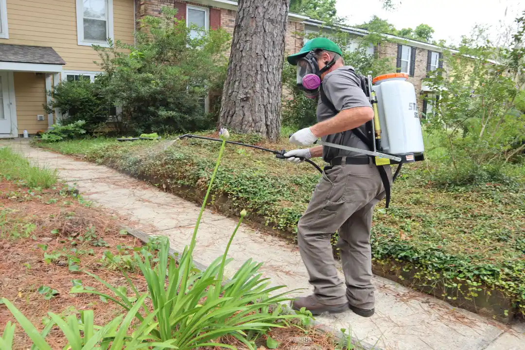 Pre-Purchase Pest Inspection Adelaide Pre-Purchase Pest Inspection Adelaide